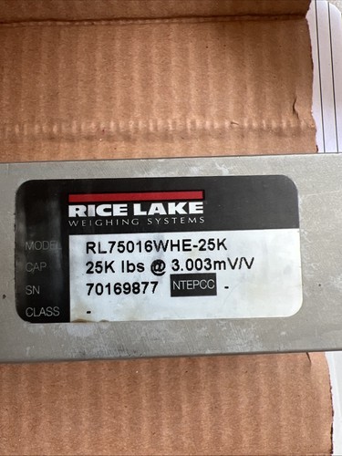 Rice lake weighing systems - lake,